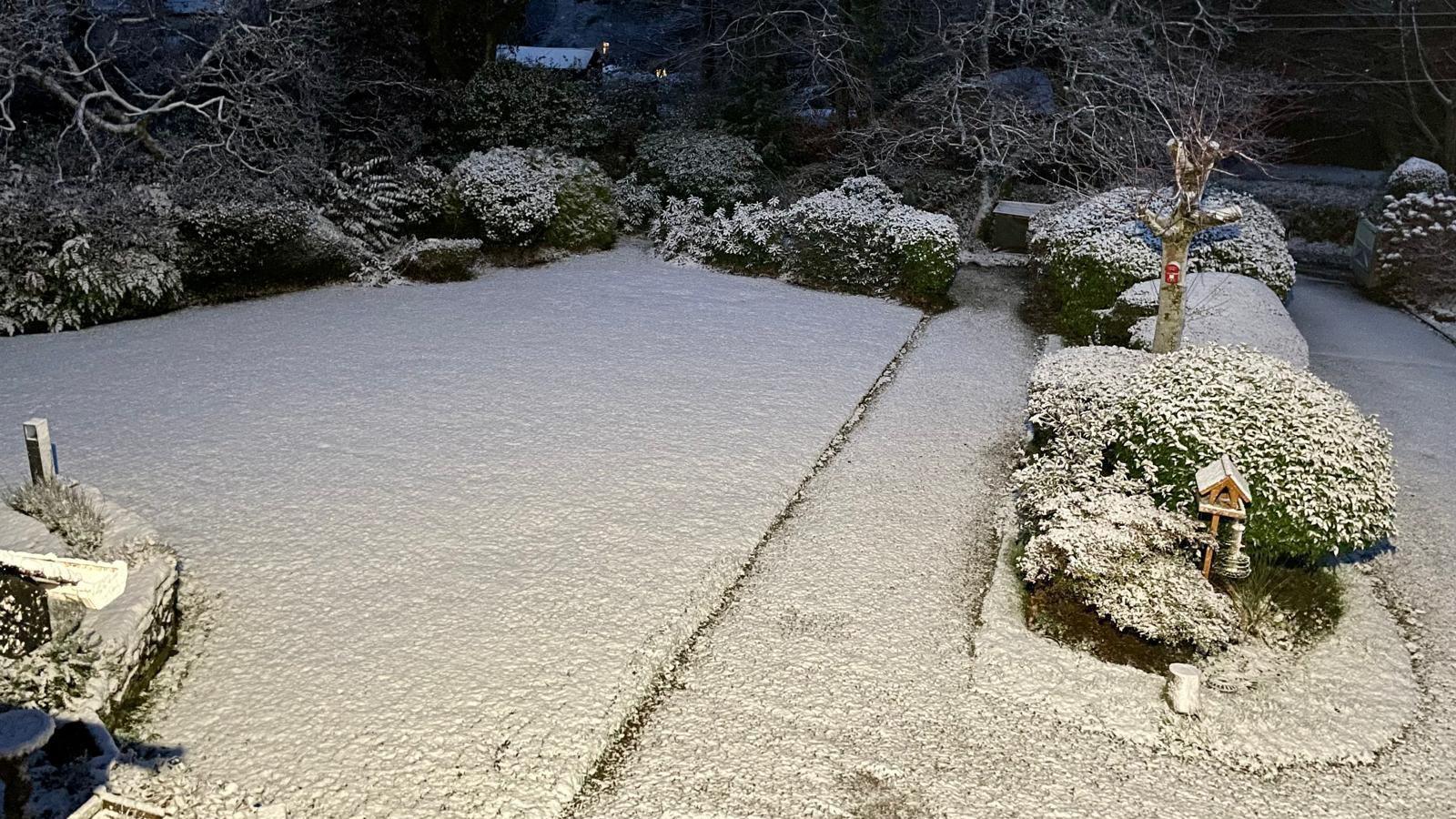 Snow covers a garden. A patch of grass is completely covered in white snow. Snow has also landed on bushes around the garden and a small bird house.