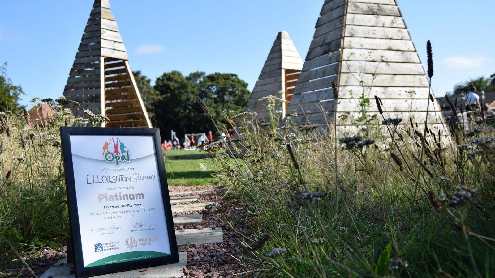 A framed Platinum Award on the ground in a play area surrounded by wild flowers 