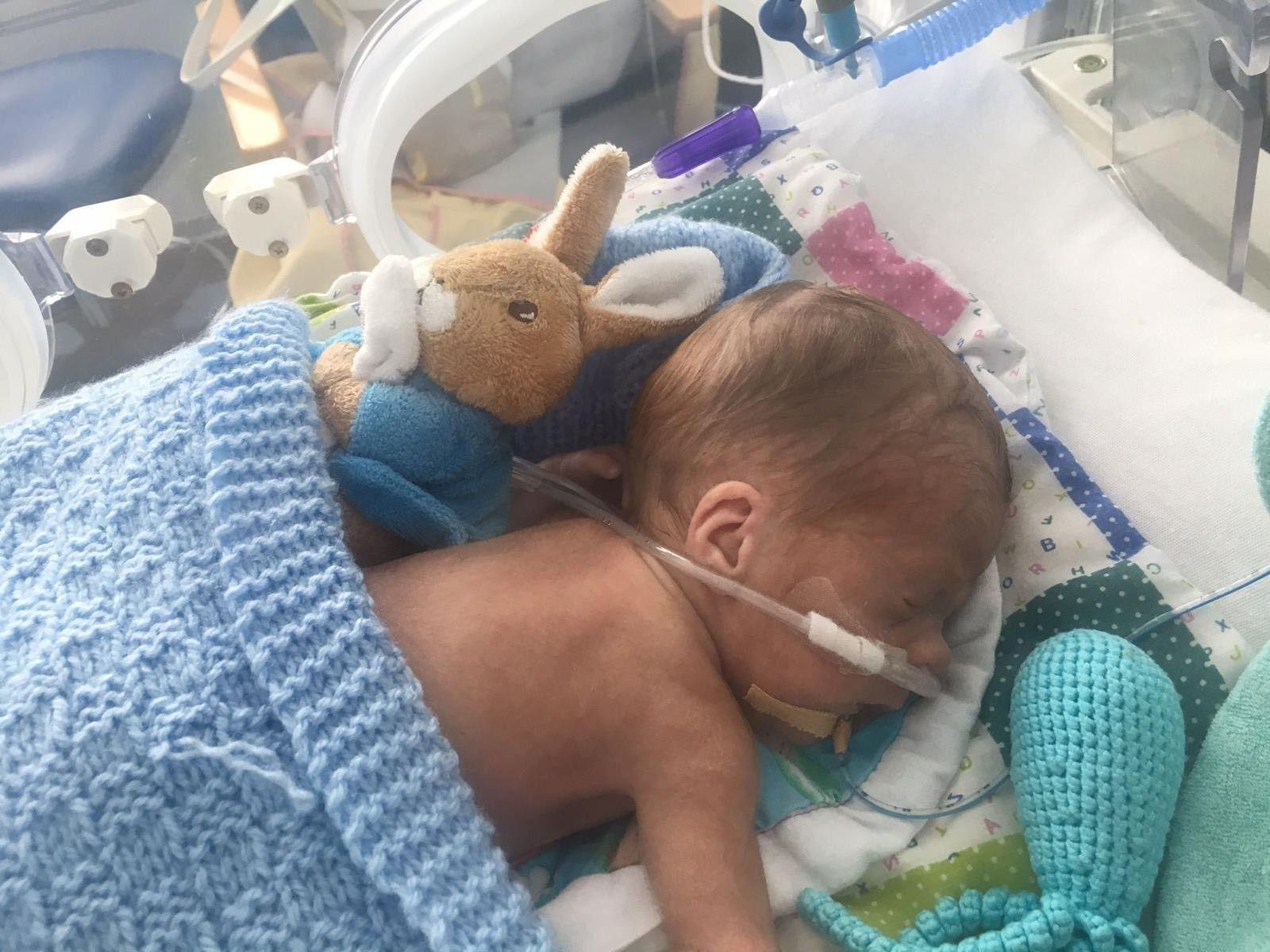A premature baby with a toy rabbit in intensive care in hospital