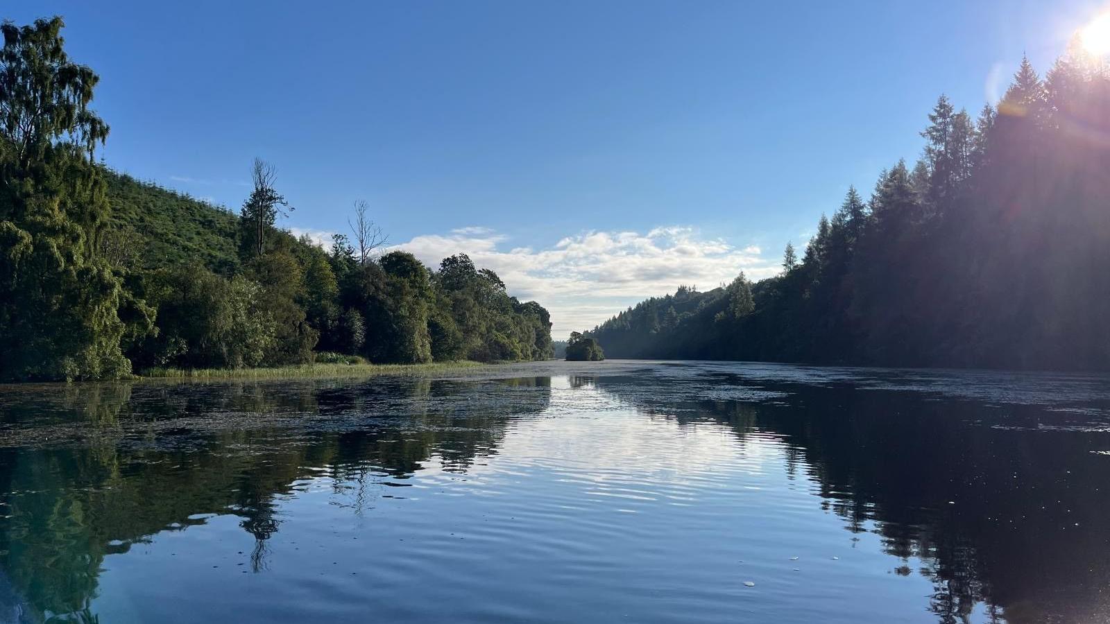 A calm river reflects the blue sky and surrounding woodland, with sunlight shining over tree-covered banks on a clear day.