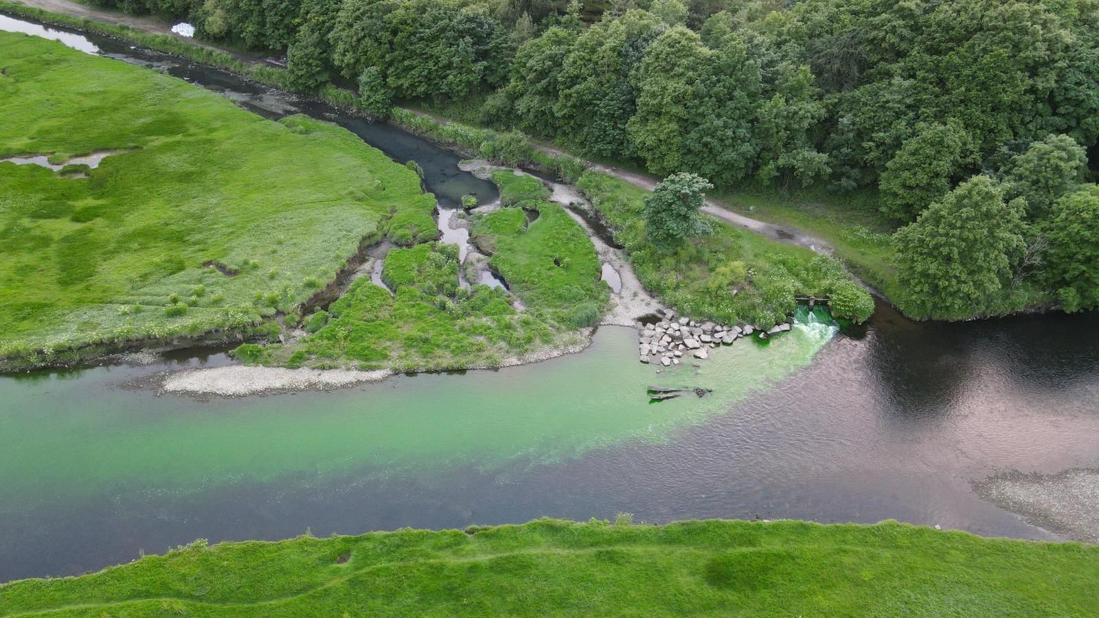 Green dye in the river Ogmore