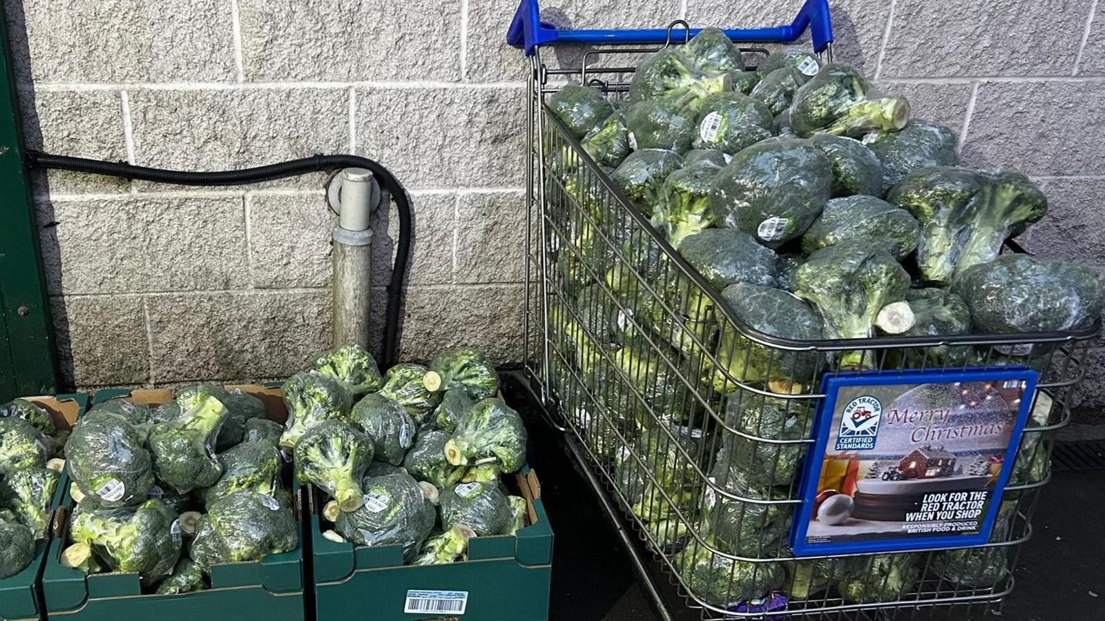 A shopping trolley full of broccoli next to green open top food boxes also containing broccoli