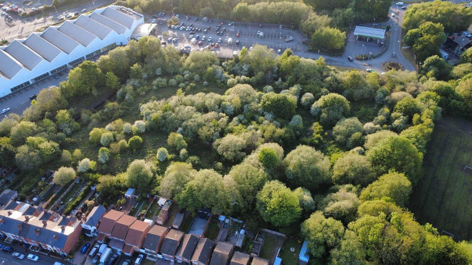 An aerial view of the wildlife corridor behind homes on Titford Road in Oldbury. There are lots of trees and green space. Homes can be seen on one side of the green area and cars on the other.