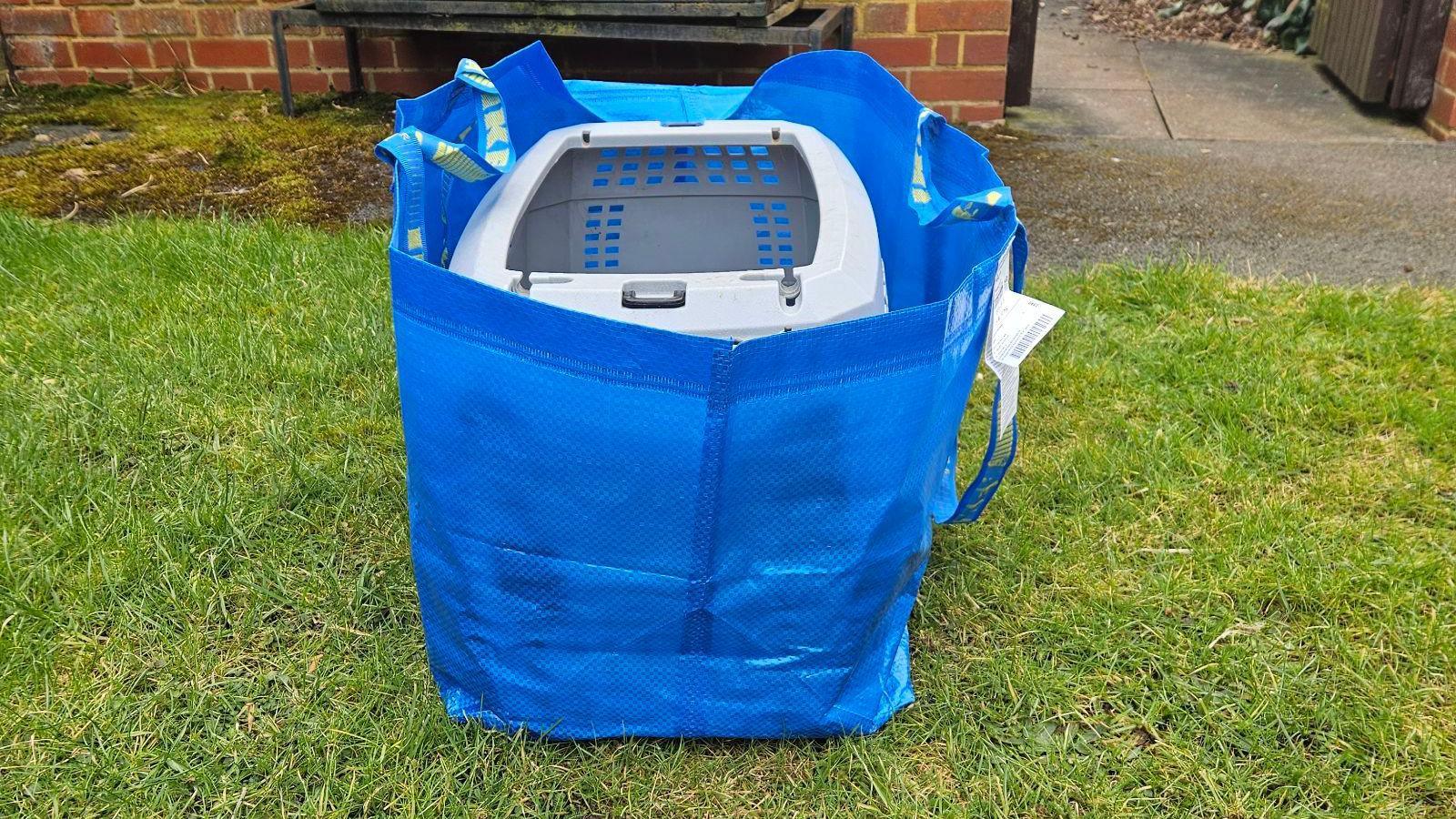 A blue shopping bag on grass containing a carrier with kittens inside