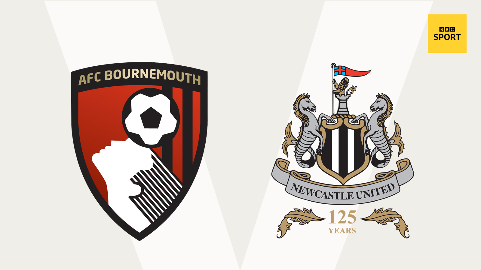 Bournemouth v Newcastle