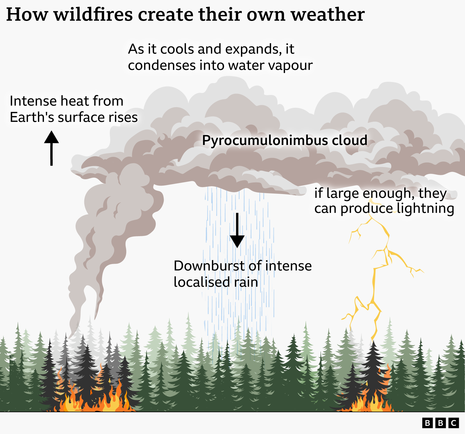 A graphic shows how wildfires create their own weather. 