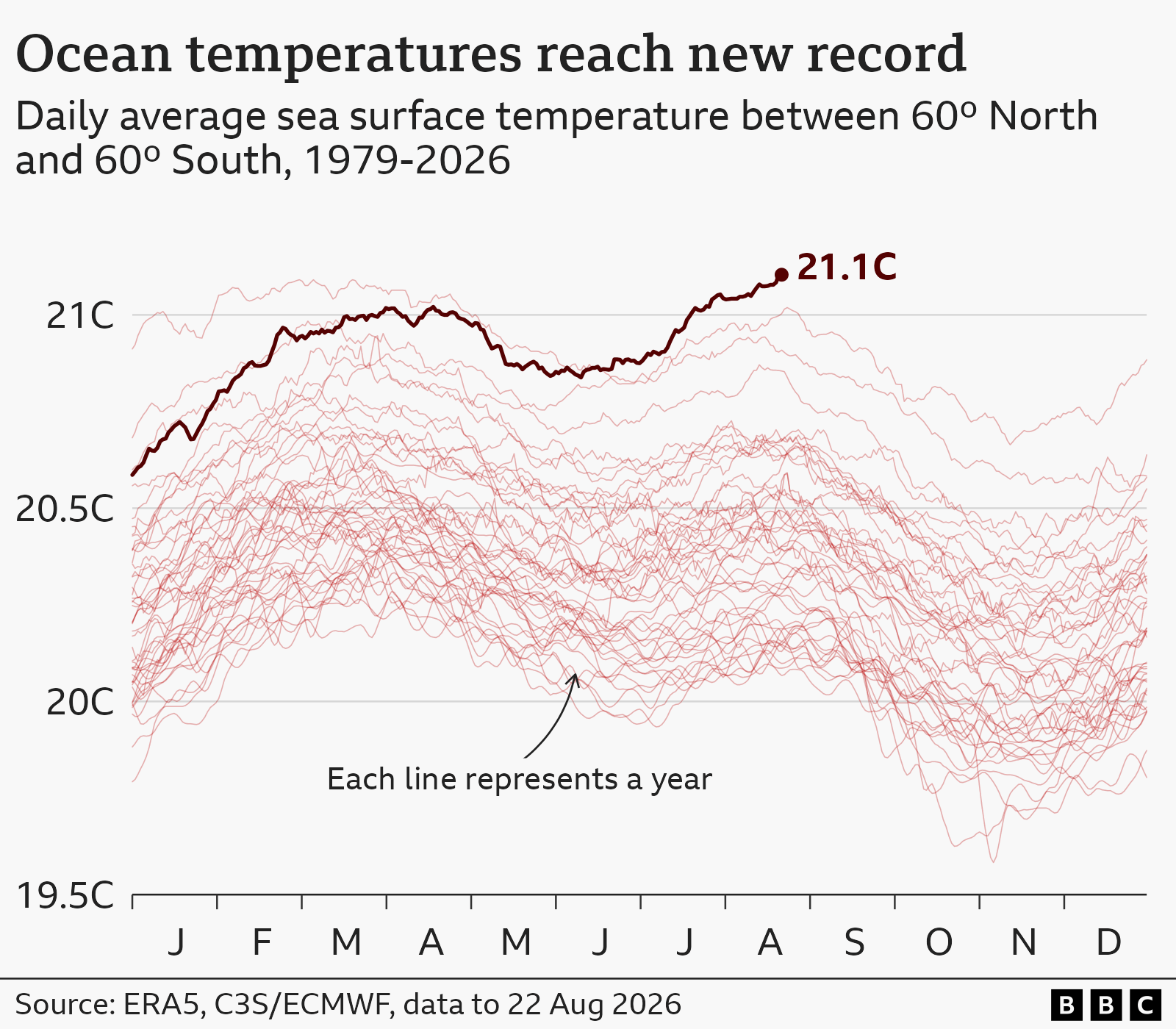 Graph showing global average sea surface temperatures for each day of the year. Each year since 1979 is shown as an individual light red line, running from 1 January to 31 December. Each line tends to peak in March or April, with a lower secondary peak in August. The line for 2026 is shown in dark red and has kept climbing since June and now stands at 21.1C. 