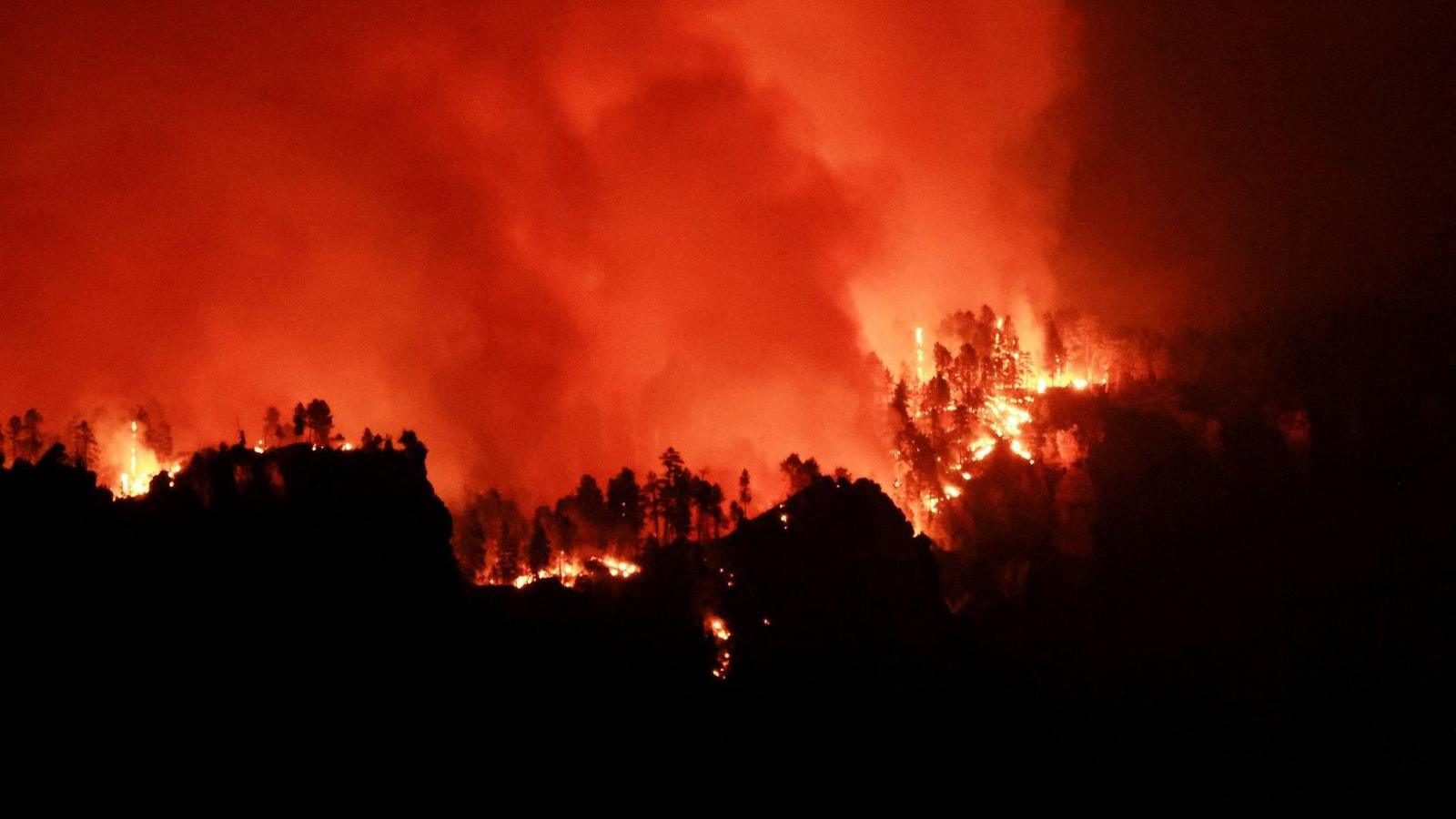 wildfire with tree silhouettes