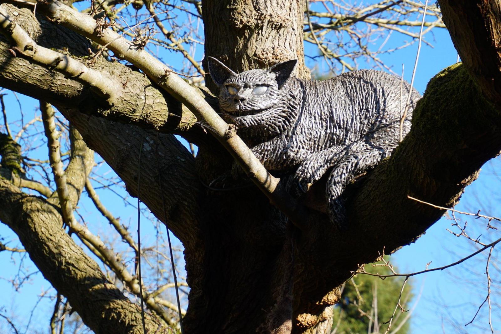 The Cheshire Cat in Oxford Botanic Garden