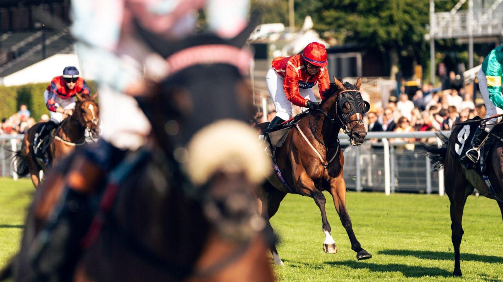 Horses race along a circuit.