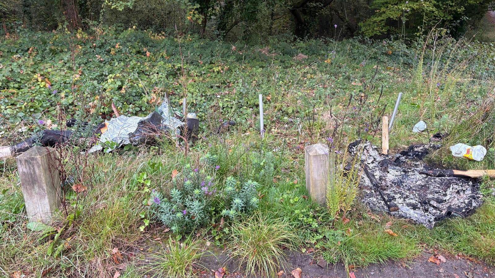 A grass verge with a burned patch on it. An unidentifiable object is lying on the grass, which also appears to have been burned.