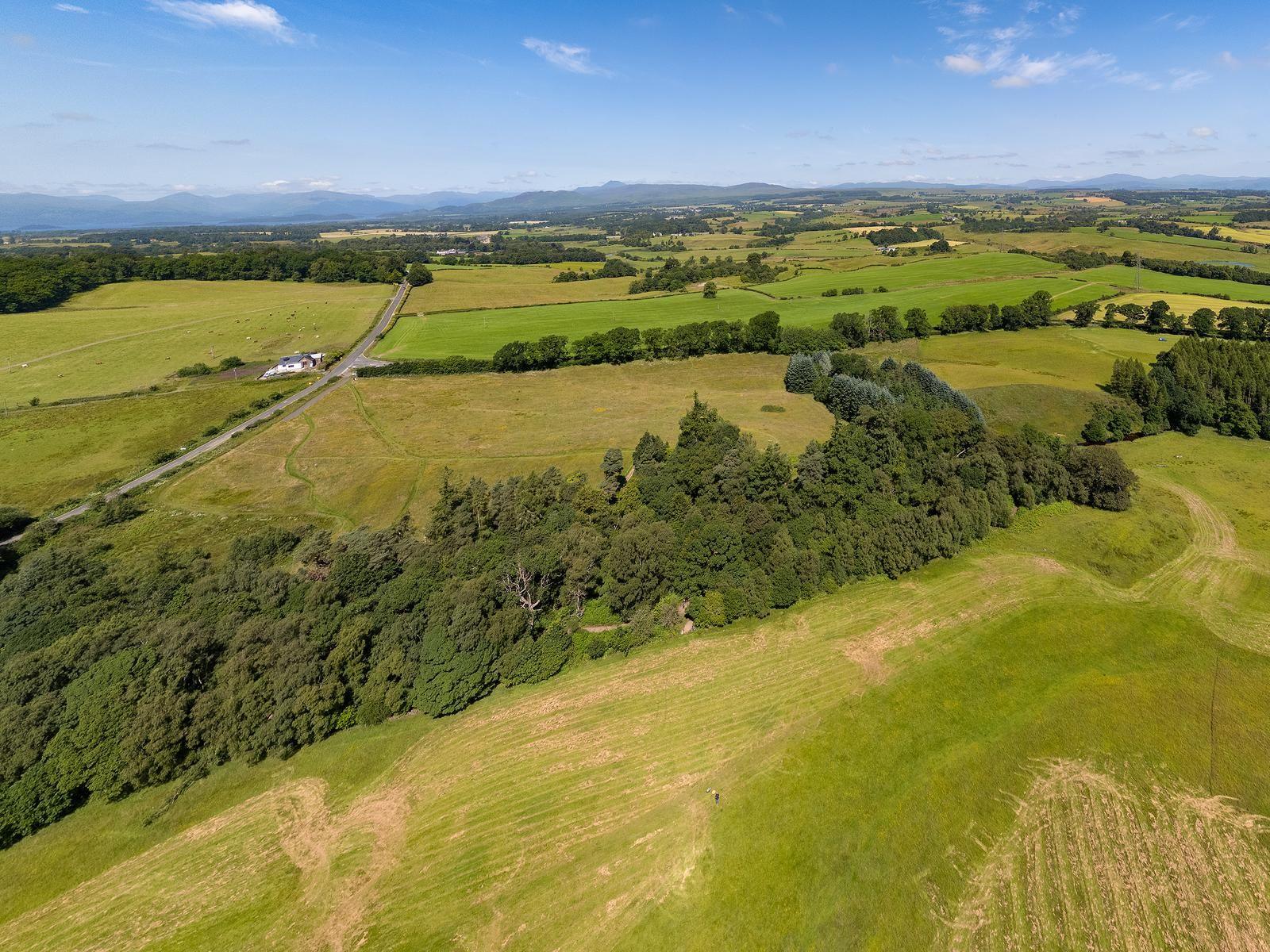A band of trees with green fields on either side of it