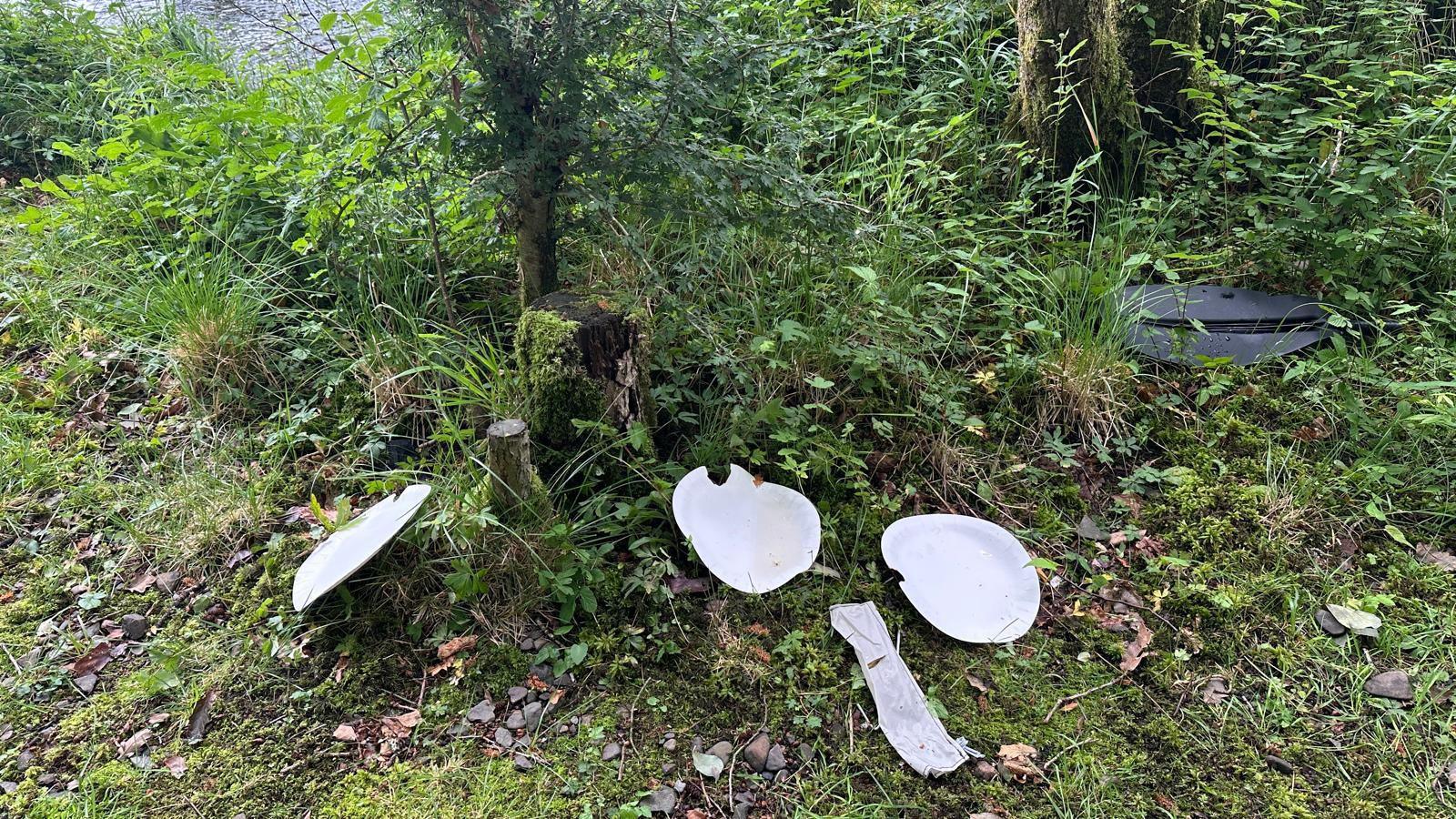 Plastic and paper white plates are dumped in a green bush along with other bits of litter