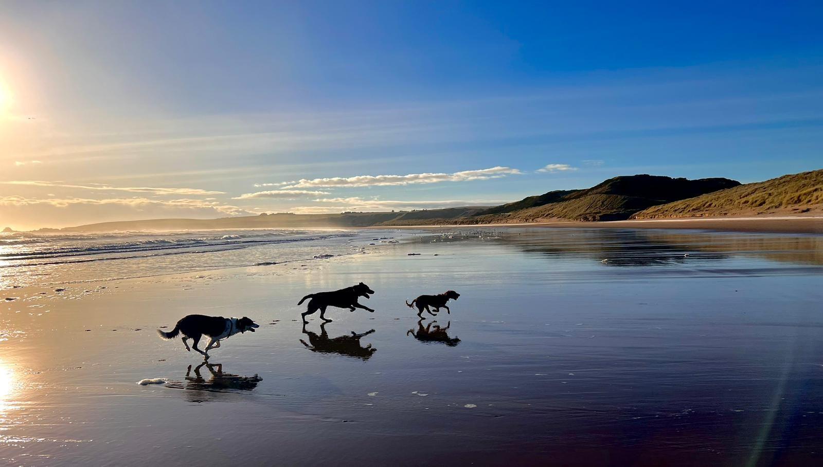 Cruden Bay Beach