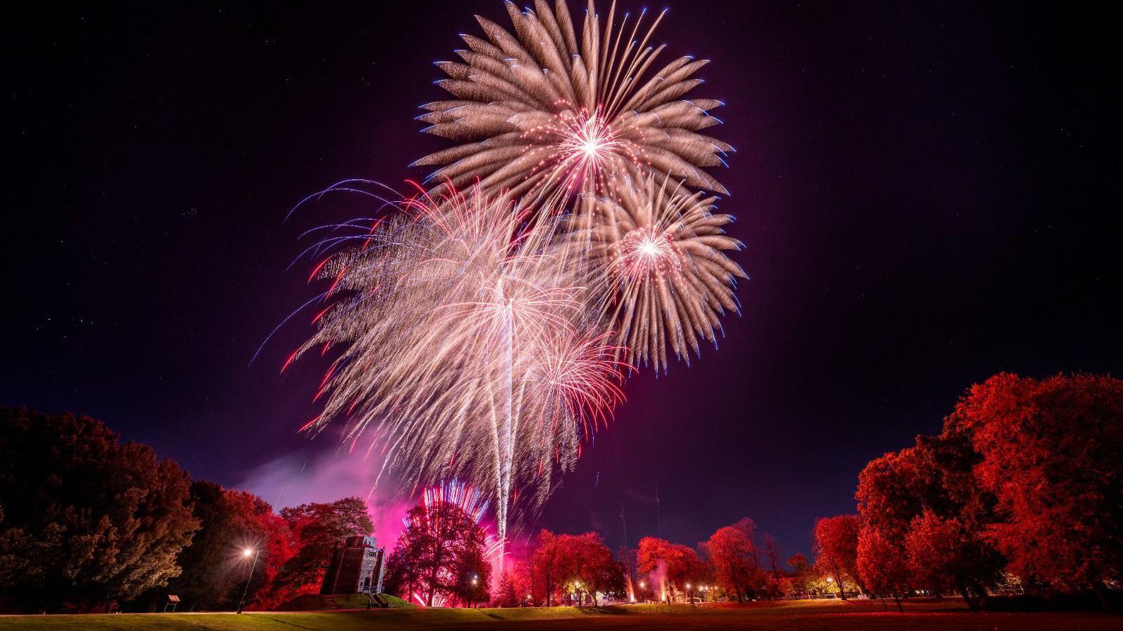 Firework going off above The Walks, a public path in King's Lynn