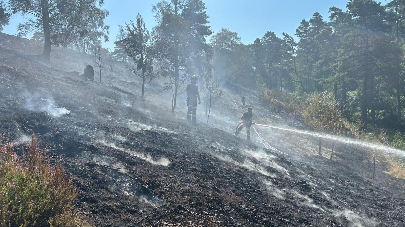 Fire fighters damping down with hoses a wildfire on Hankley Common, Thursley