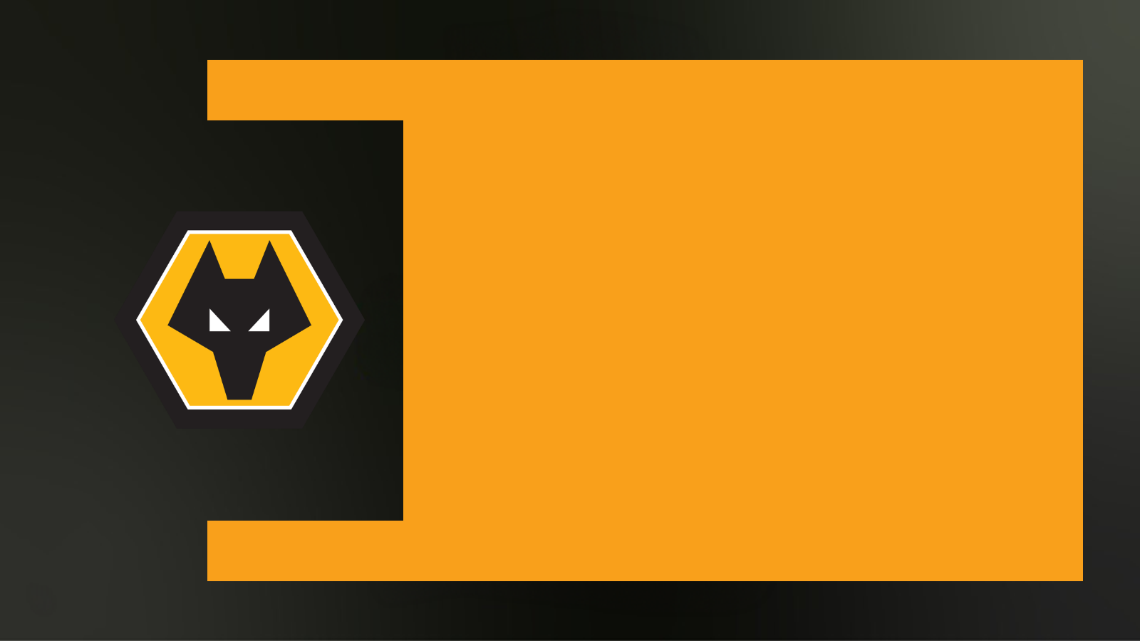 Wolves news: Fan views on transfer deadline day - BBC Sport