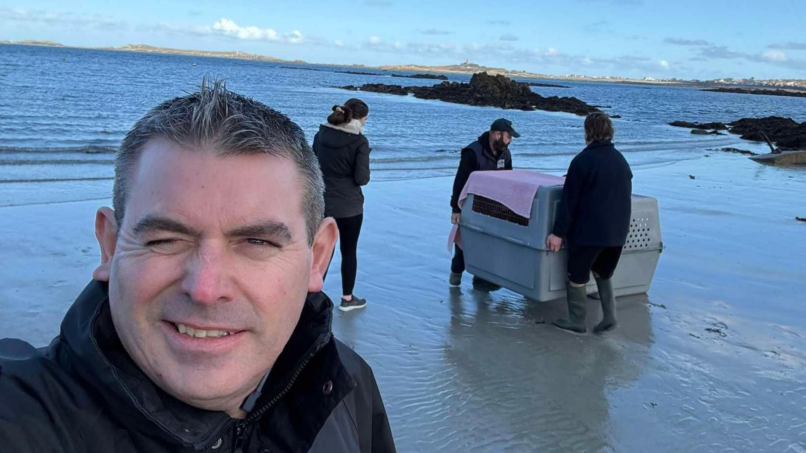 Four members of the GSPCA team carry a grey plastic animal cage onto a Guernsey beach before releasing two seals back into the sea. All four people are wearing dark clothing and a pink towel is on top of the cage.