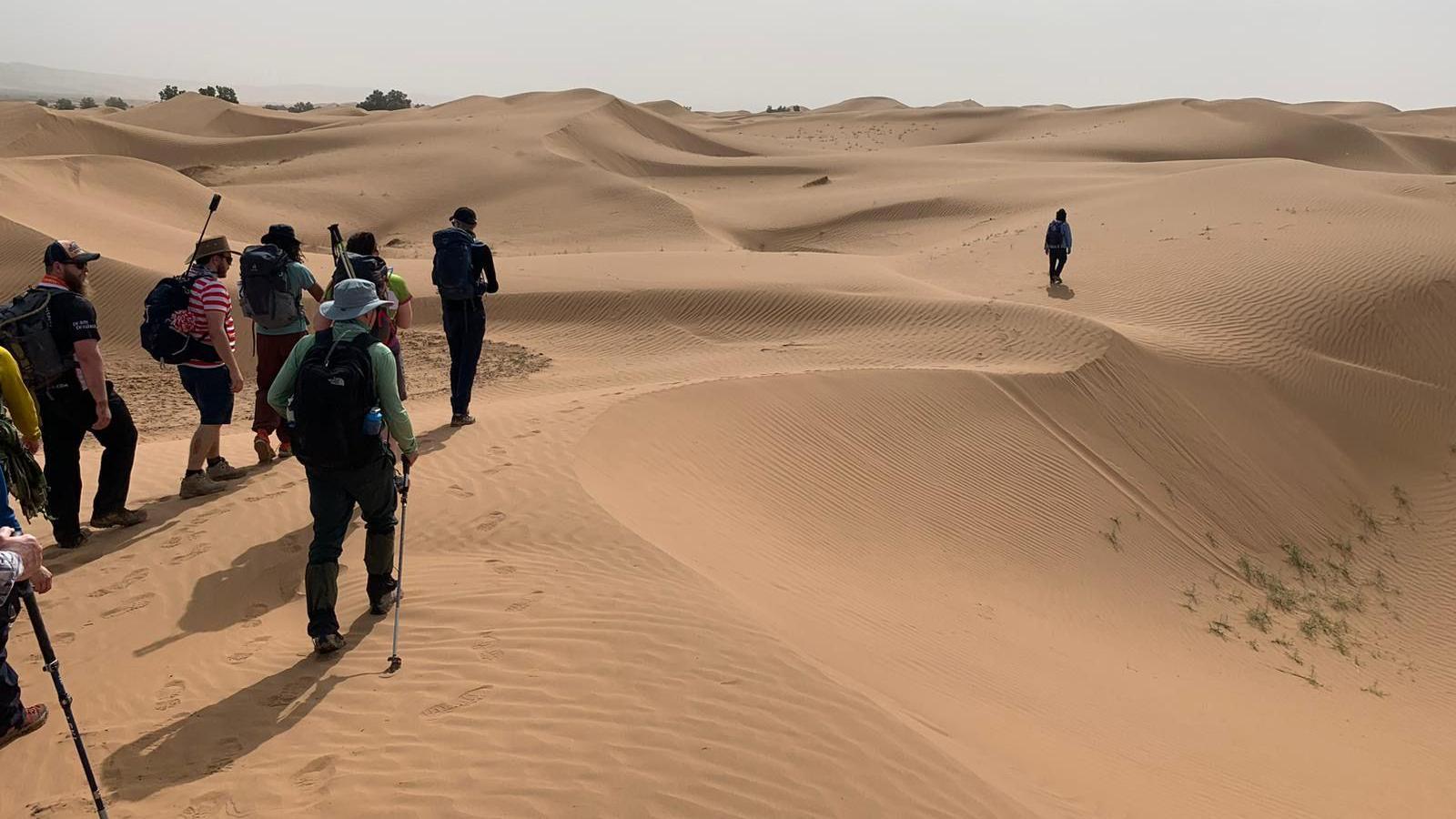 A group of people trekking across a sand dune in the Sahara desert.