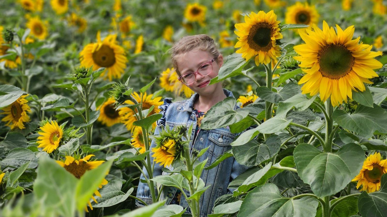 A girl with blonde hair, pink-rimmed glasses and wearing a long denim jacket, stands among a field of sunflowers with her head tilted to her right.