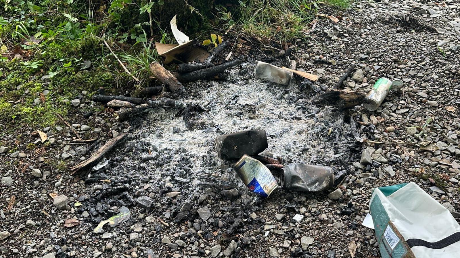 Litters and cans surround a fire which has been put out next to a tree. 