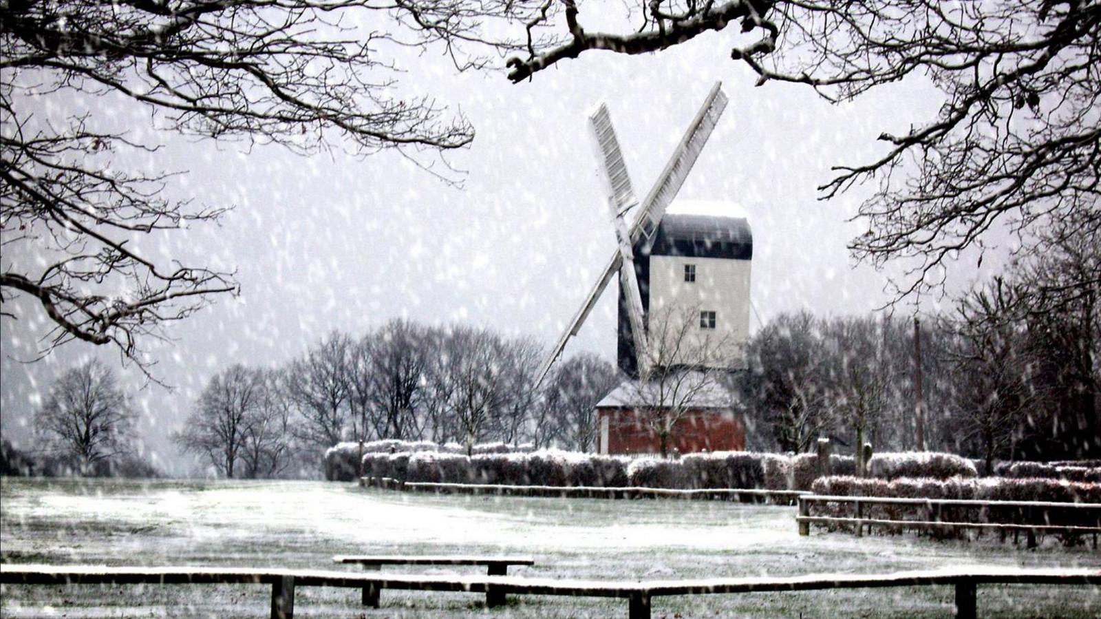 Mountnessing Windmill in a snowstorm. It shows a windmill with red brick base, and a wooden structure with two white sails. There are trees behind the windmill, bushes in front, and a short fence.