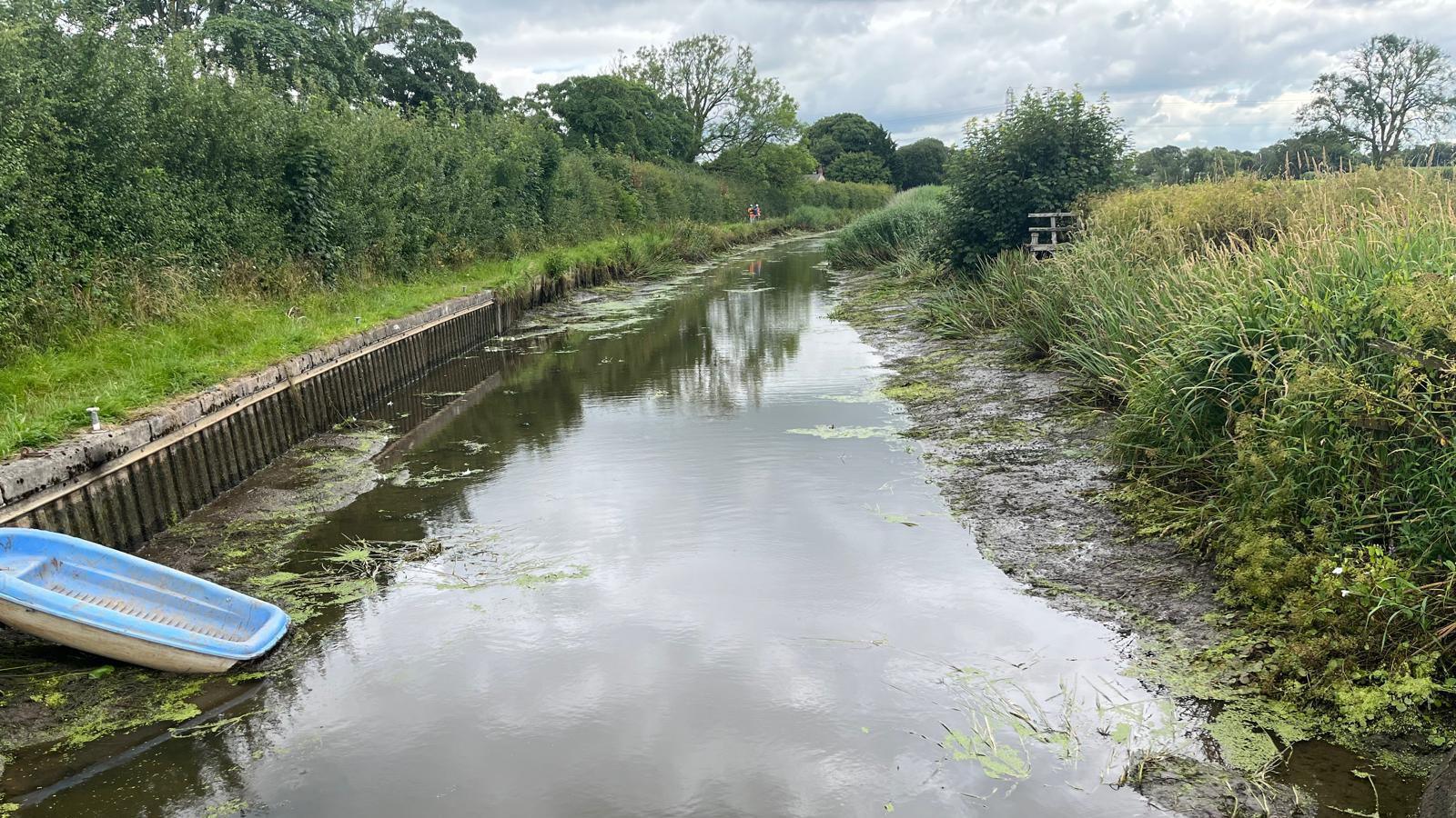 A section of the Lancaster Canal with a low water level showing the exposed sides of the canal, which are bordered on one side by lush undergrowth and reeds and on the other by a grassy towpath and a tall hedge