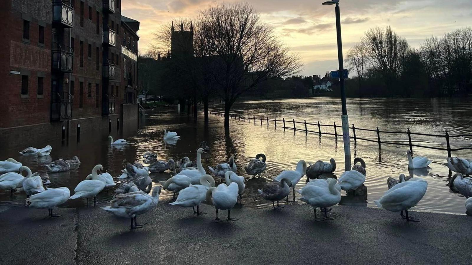 Flooding in Worcester