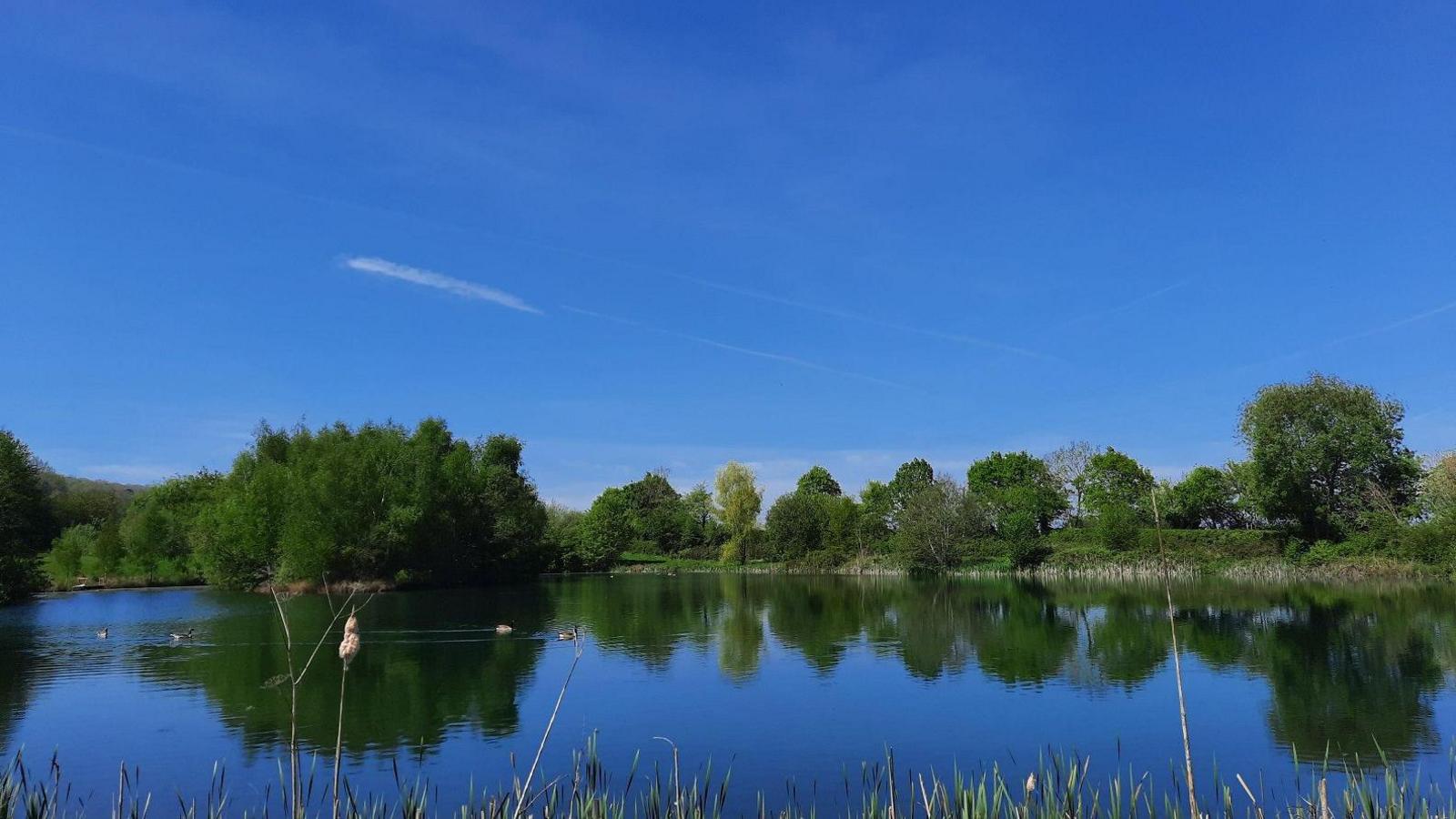 A view of a lake with trees in the distance reflected in the water including the pure blue sky overhead. On the water, a couple of ducks can be seen in the distance gliding over it.