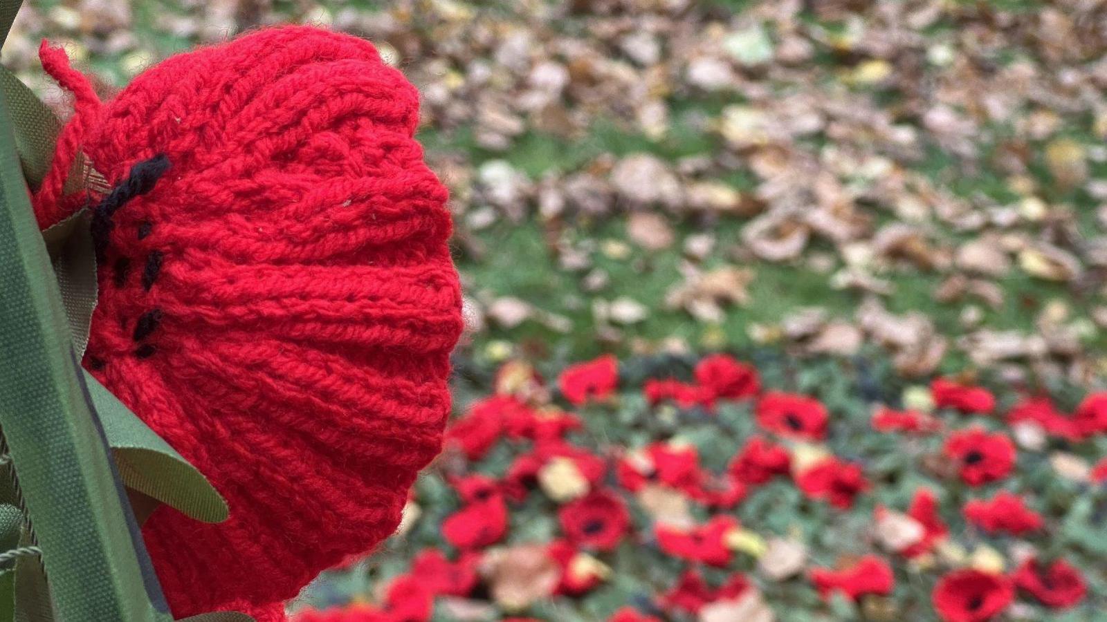 The image shows a close up shot of a poppy on the camouflage netting with the knitted poppies on the floor visible in the background. 