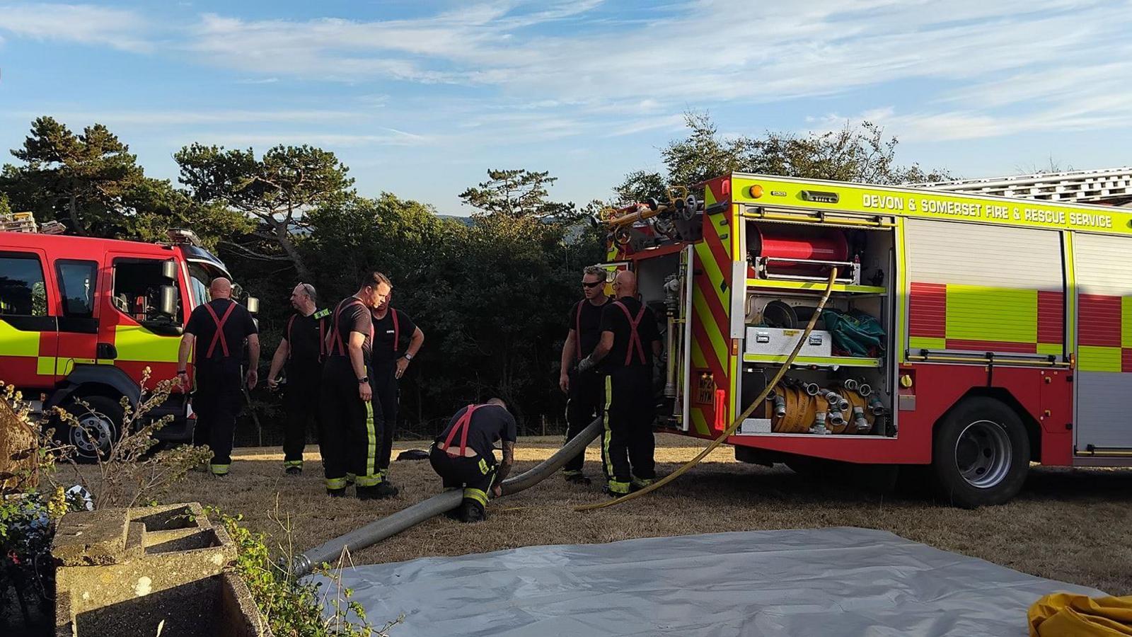 Seven firefighters in uniform are standing on some grass in between two fire engines. The sun is shining and the grass is dry and brown.