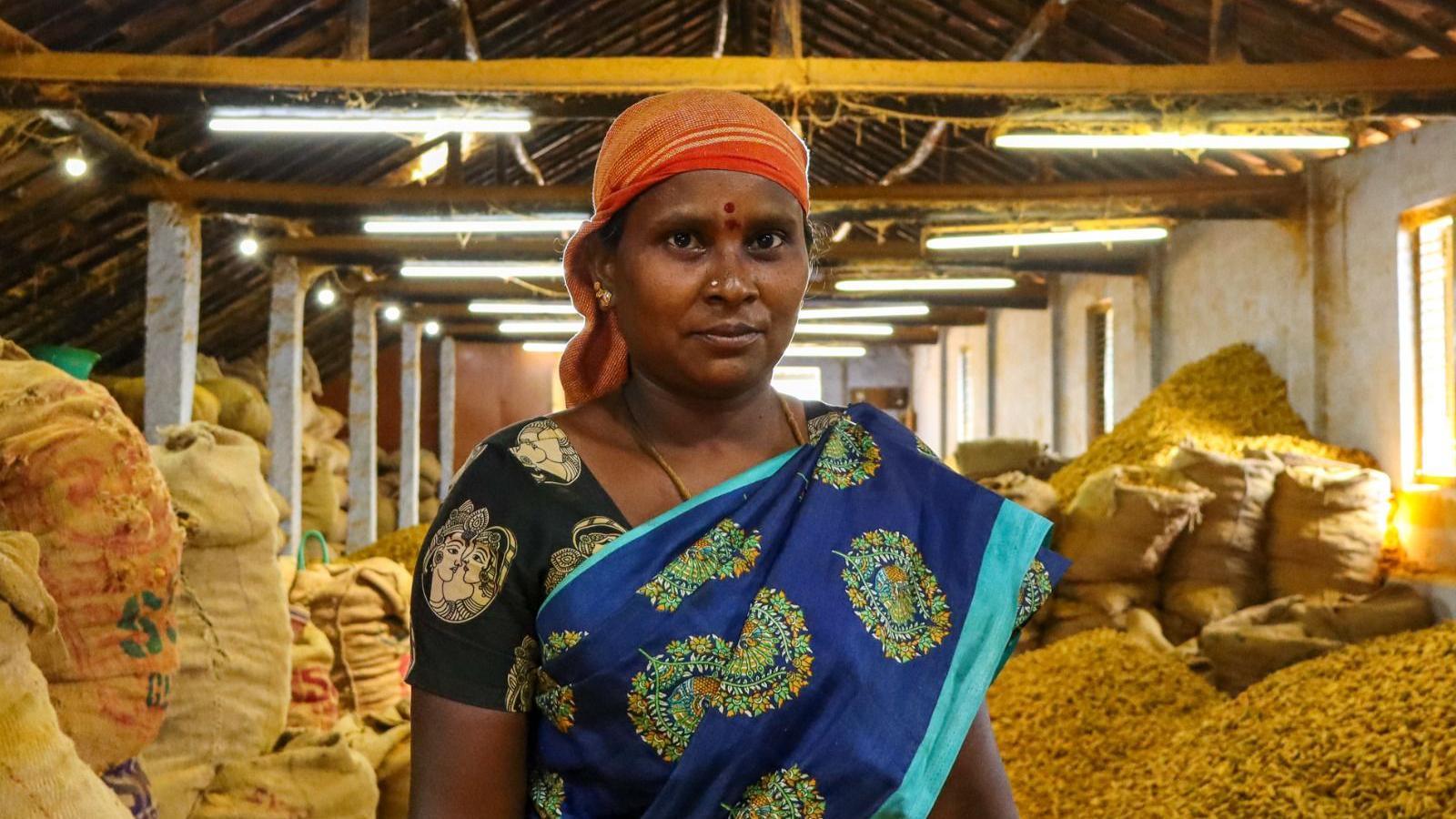 A woman wearing a royal blue saree with green prints stands in front of heaps of raw yellow turmeric with a pastel orange bandana on her head. 