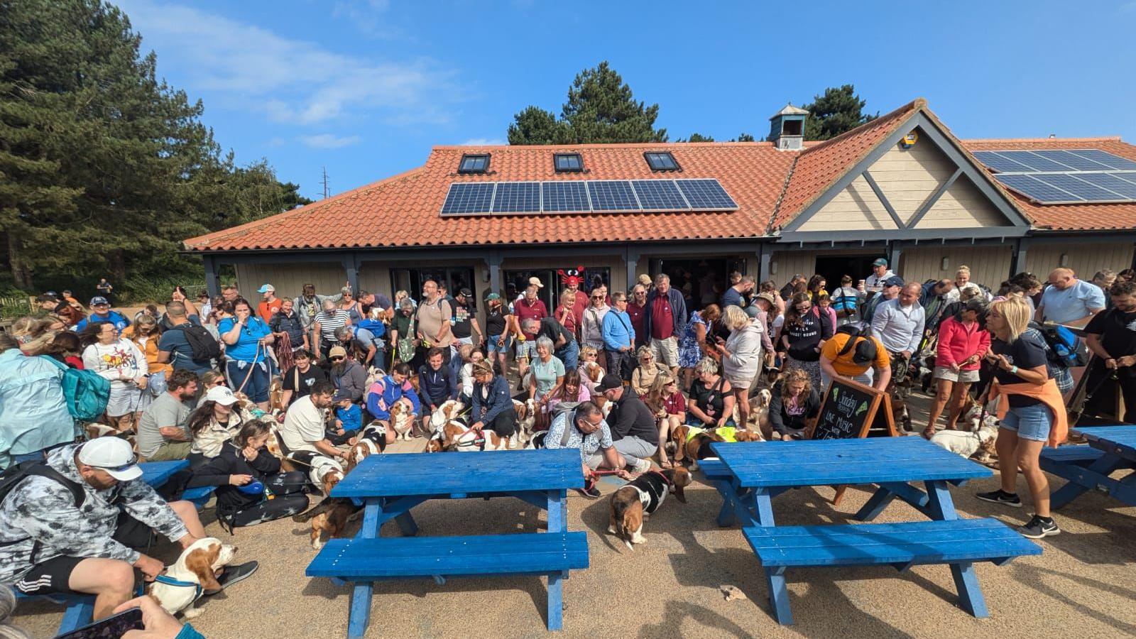 Large group of people and their dogs gathered outside a building and around blue picnic tables