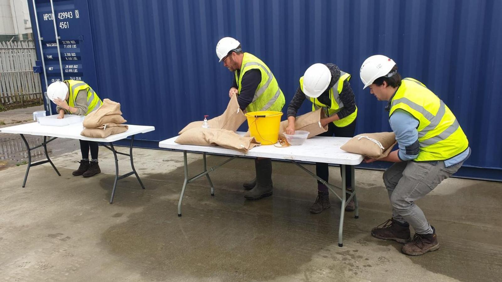 Last year's team putting seagrass seeds into bags for planting