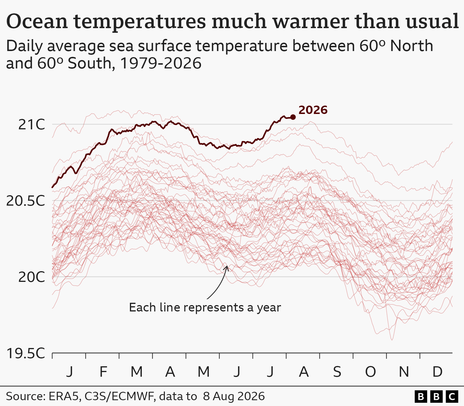 Graph showing daily average sea surface temperatures from 1979-2020