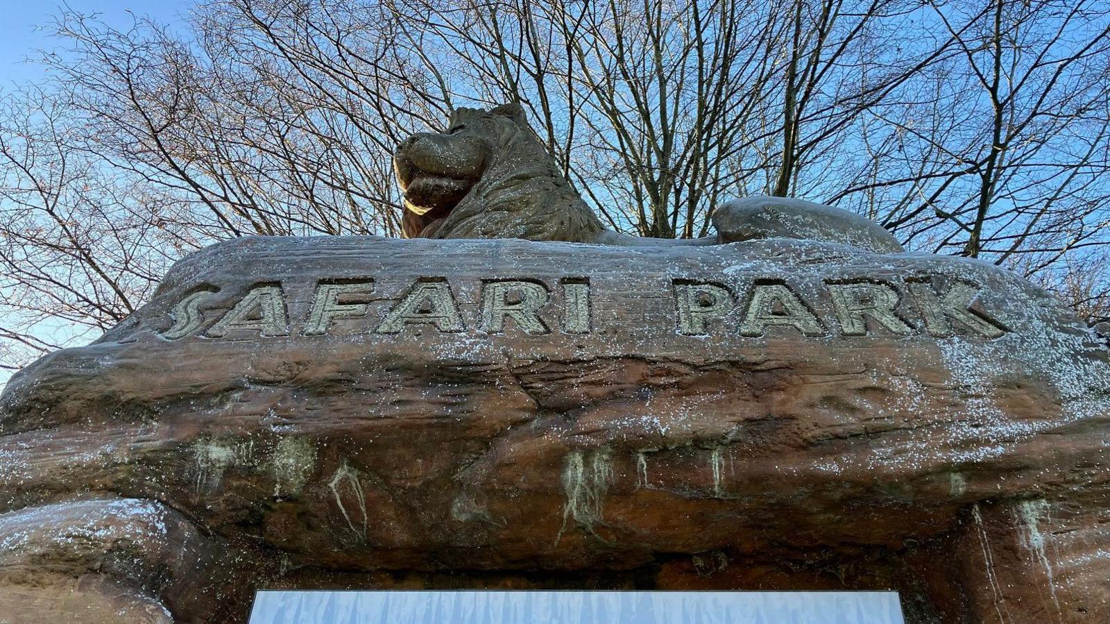 A sculpture of a stone lion sits a top a sign with "Safari Park" written on it, also carved out of stone. Behind them are the branches of a tree in winter.