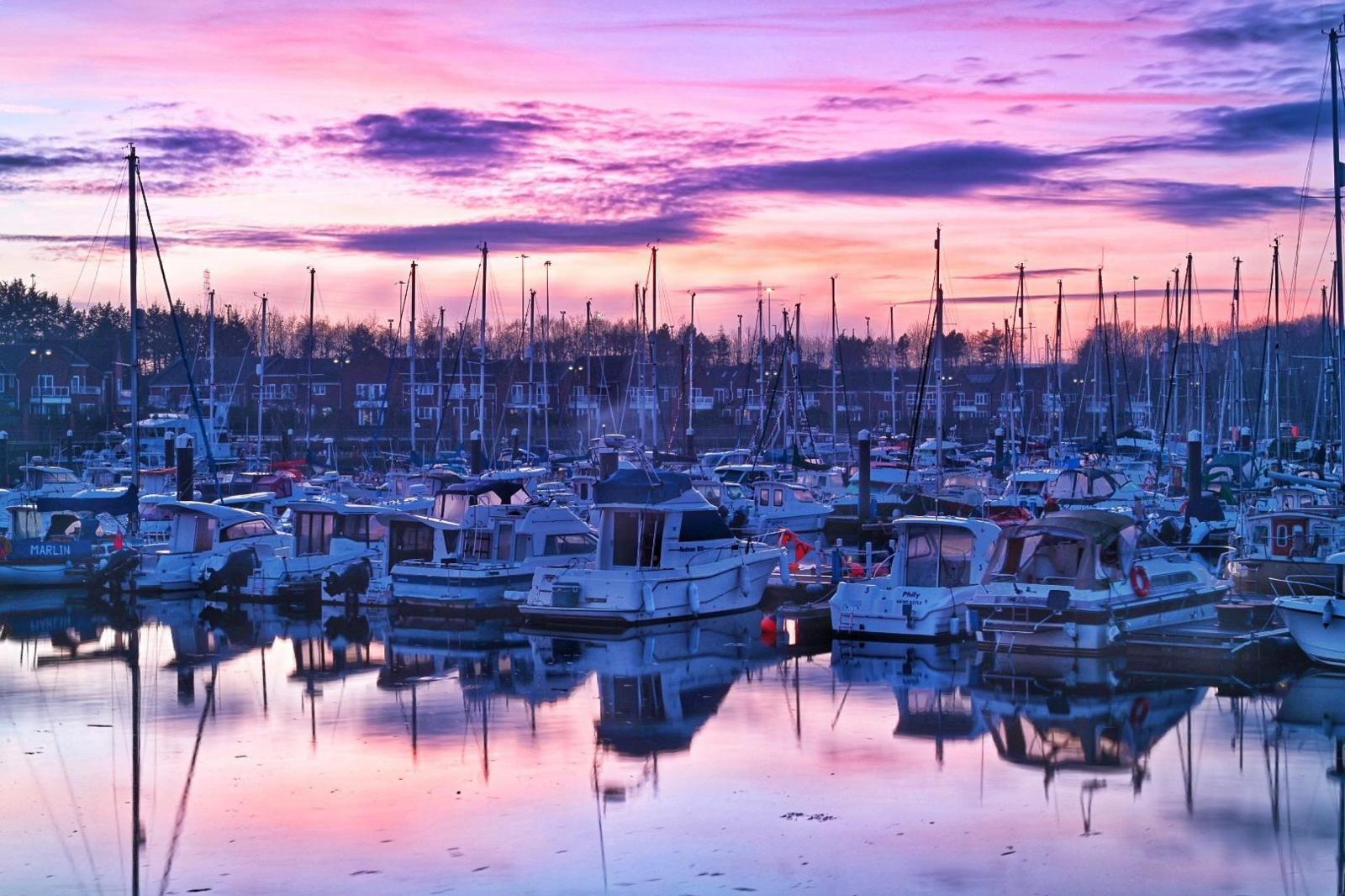 Dozens of white boats in a harbour have a blue tinge because of the light cast by the sunset. The boats are reflected in the water below.