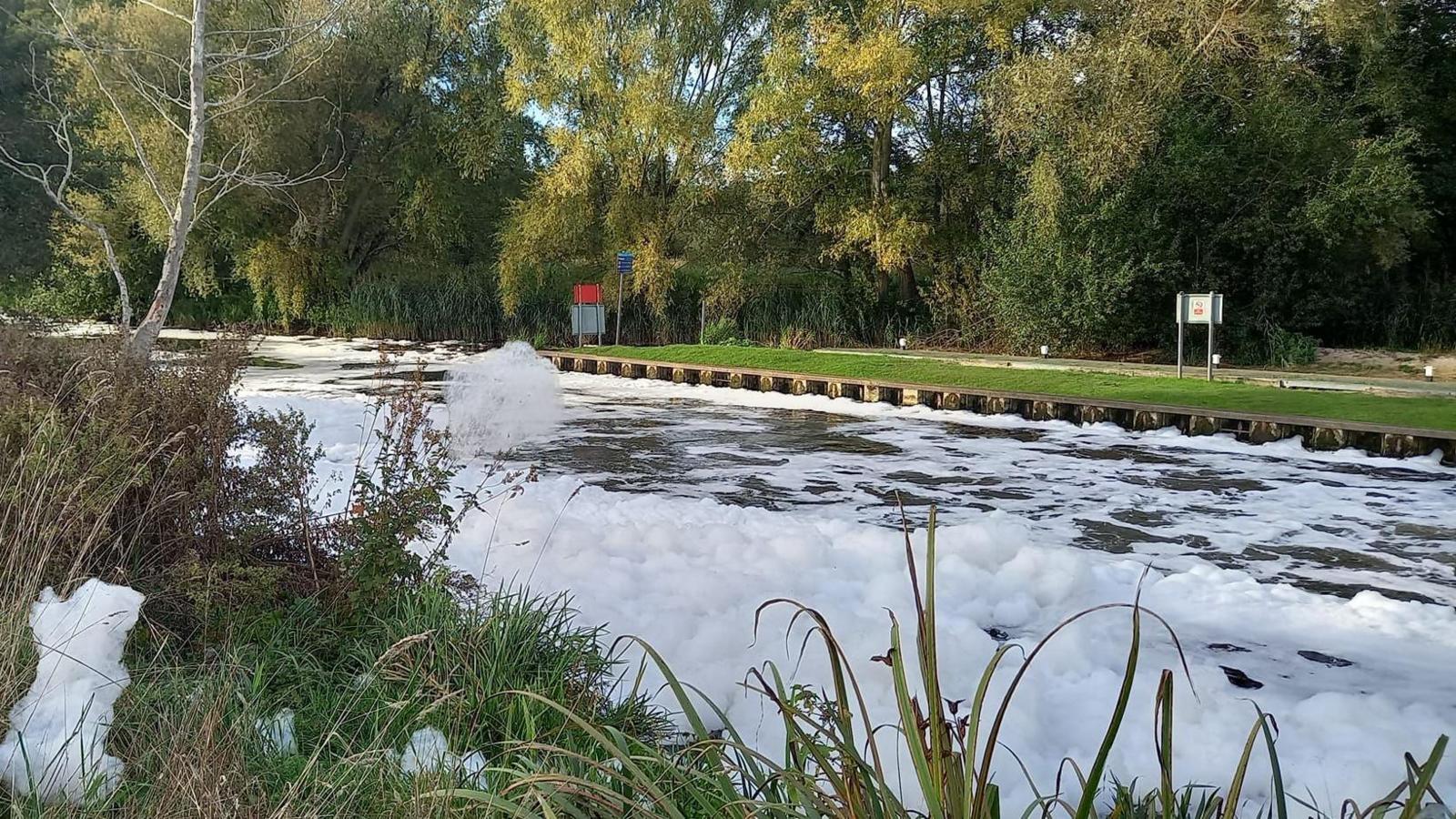 A photo of the Little Ouse river in Brandon, Suffolk. The water surface has almost been entirely covered with a white foam-like substance. Some of the substance can be seen on the nearby river edge. 