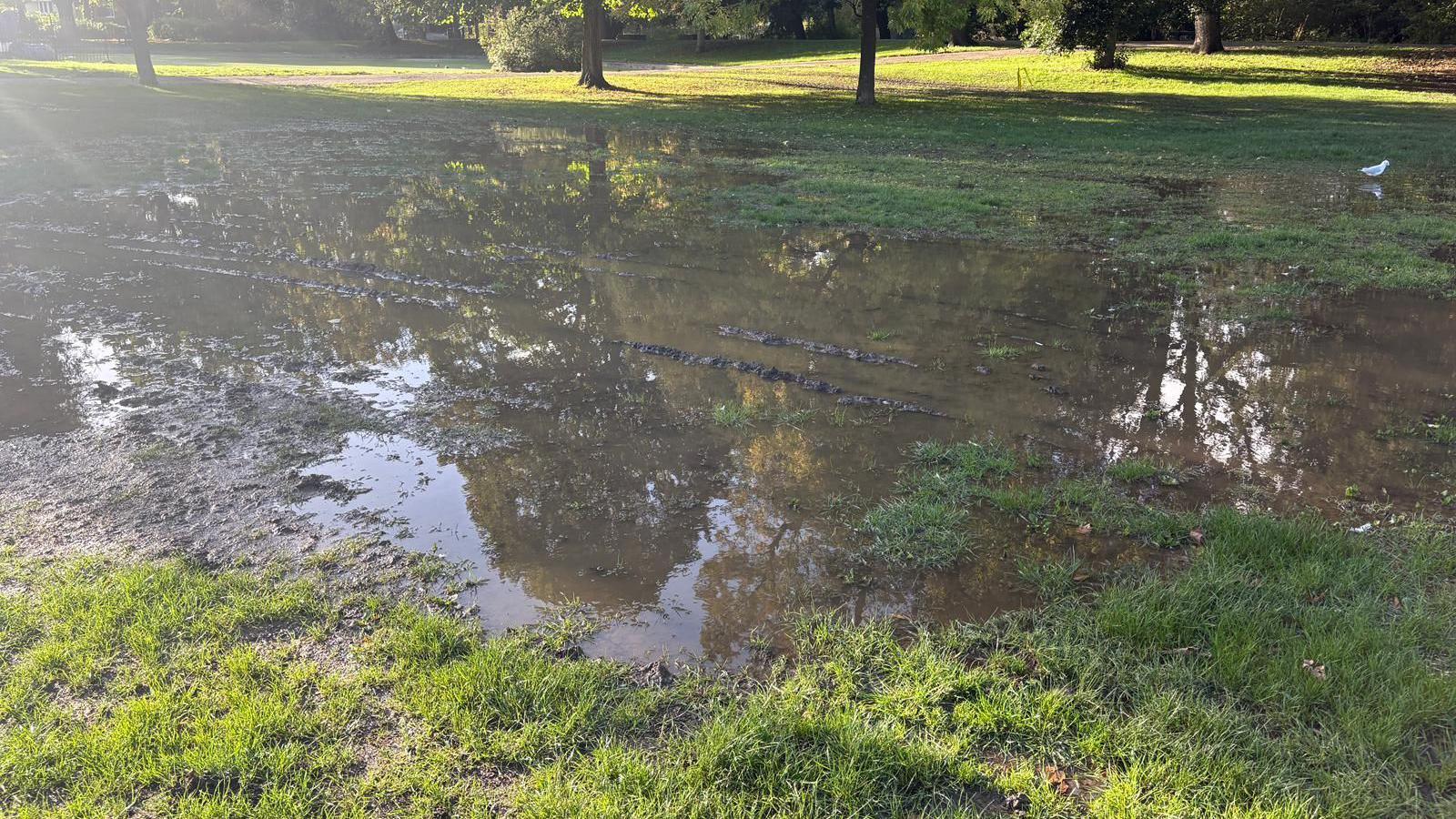 Large pools of mud with grass around.