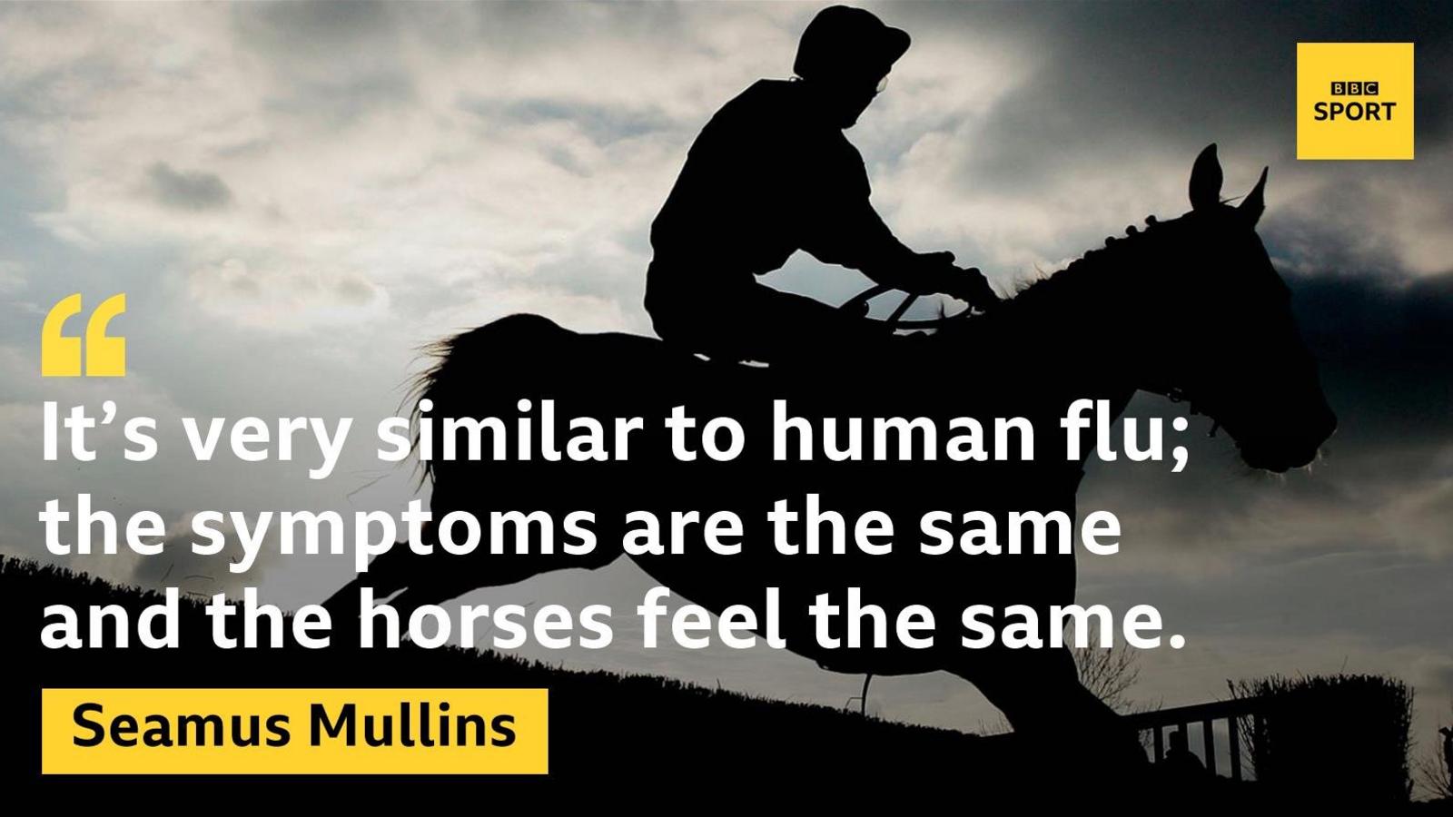 Trainer Seamus Mullins on equine flu