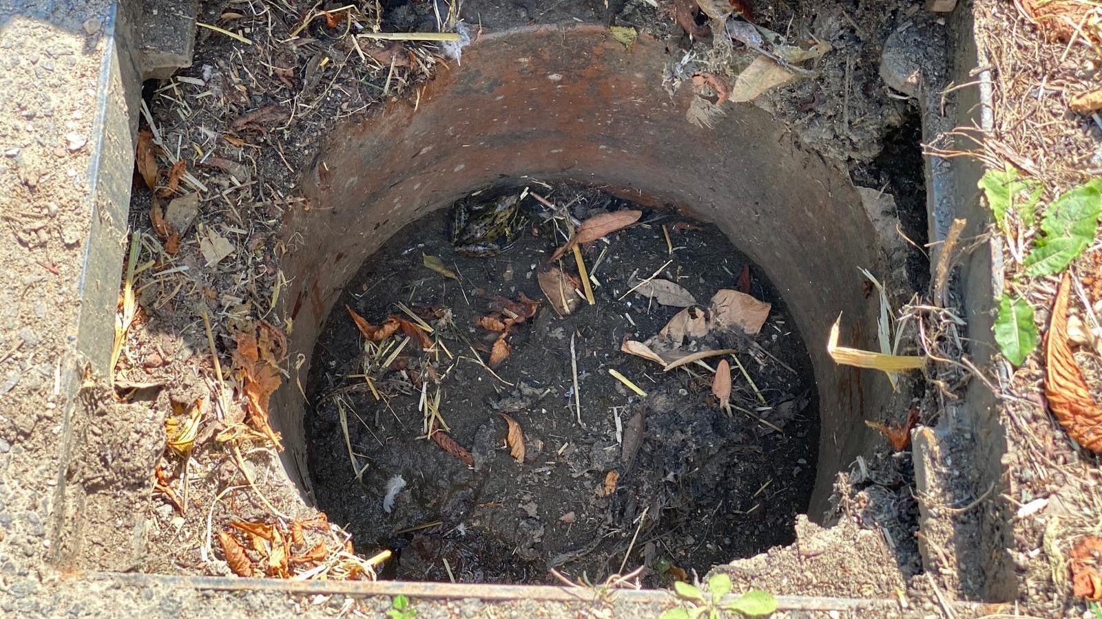 A blocked drain in Tallington, Lincolnshire. It has a worn metal circular rim and is almost full of mud and leaves