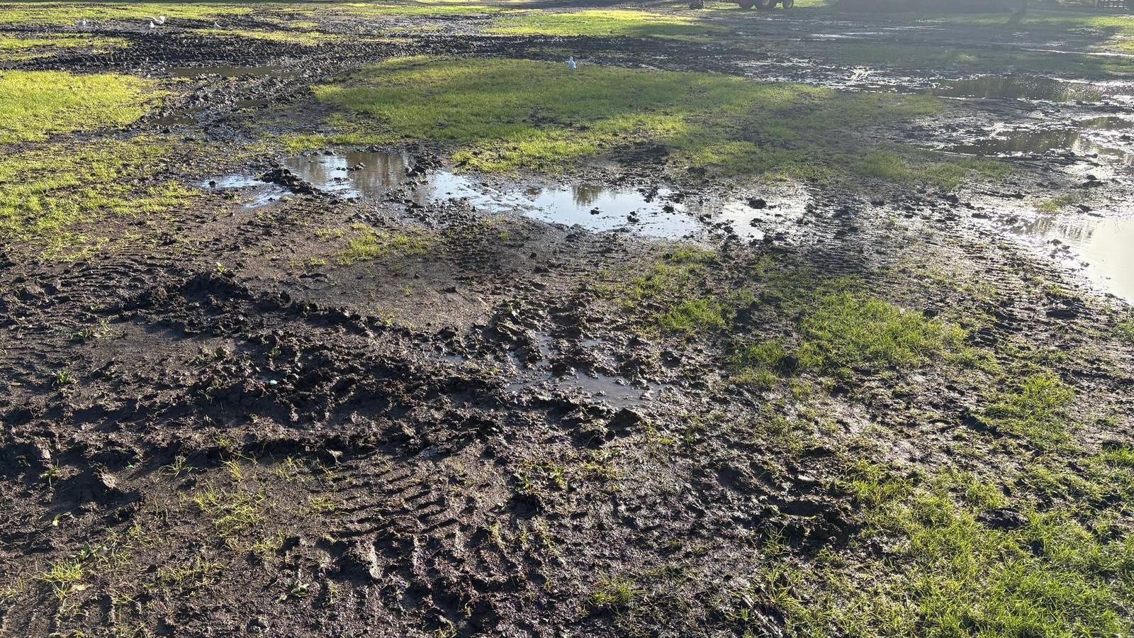 An image of mud on the grounds of the park. the mud has not dried and there are also puddles of water