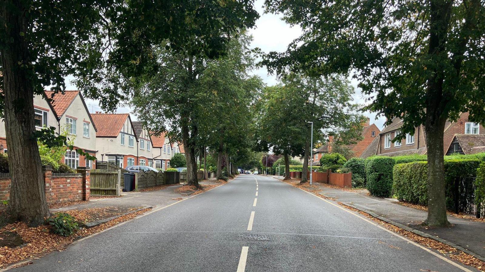 A straight, empty stretch of a two-lane road with trees lining the pavement at each side. There are rows of semi-detached houses on each side.