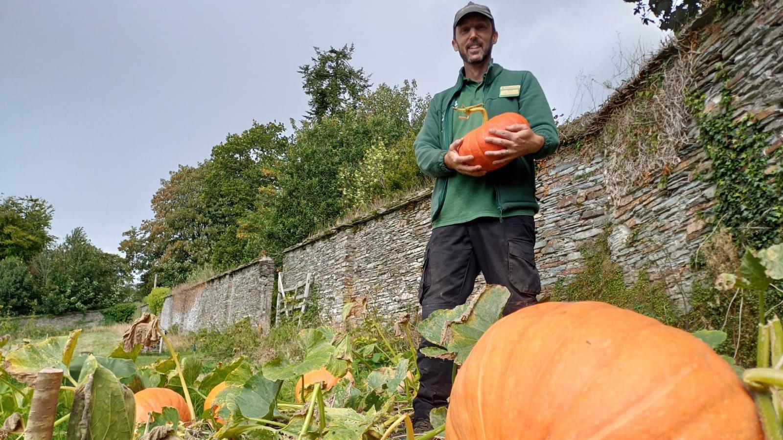 A man wearing a green T-shirt and fleece with a name badge and wearing a cap is standing in a walled garden holding a pumpkin smiling. In front of him is a giant pumpkin standing out of the vegetable patch which also has more smaller pumpkins growing. Behind the wall are trees.