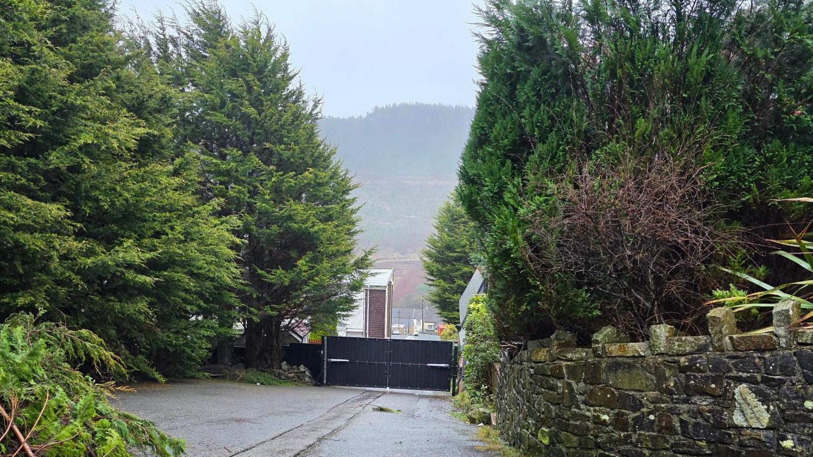 Picture of the gates from inside Cwmparc Forest, large pine trees can be seen either side of the bricked wall and black gates stand in the middle of around 1 metre tall. 
Mountains can be seen in the background, cutting into a grey sky. 