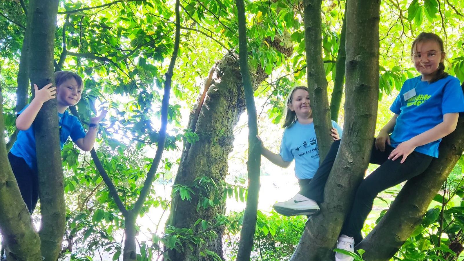 Barrow Badgers members Arthur, Millie and Lilliana smiling after they have climbed a tree. They are wearing blue T-shirts.