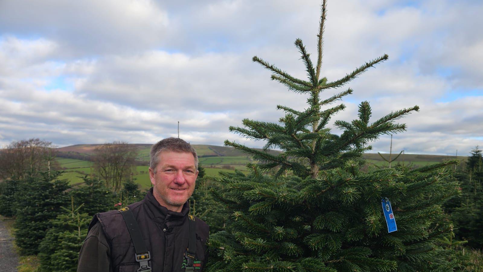  Man standing in Christmas tree farm next to large Christmas tree with trees behind him