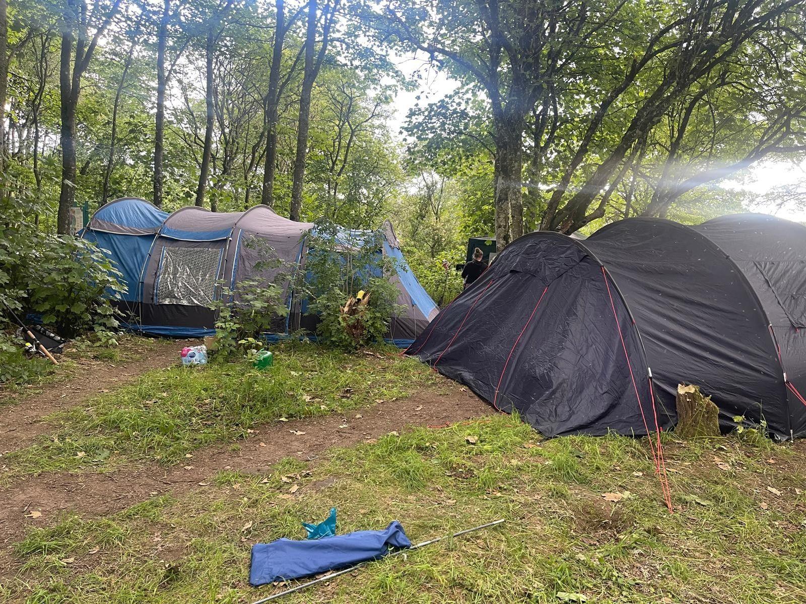 Two large tents in a wooded area
