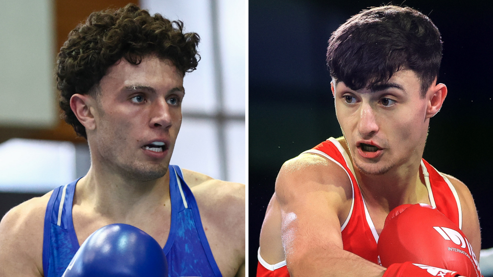 جون ماكونيل ولويس روني 