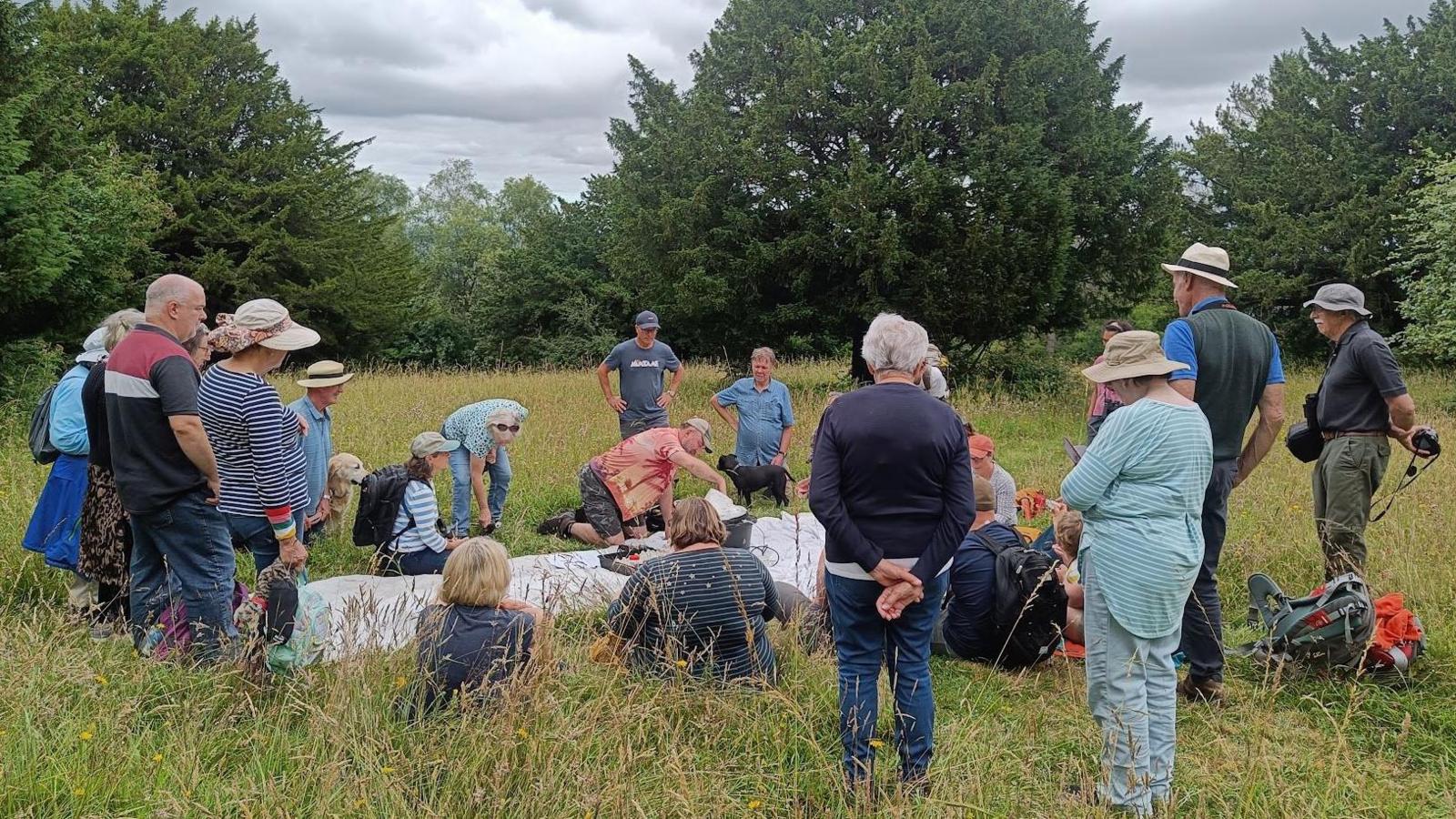 Volunteers examining moths caught in a light trap on Graffham Down